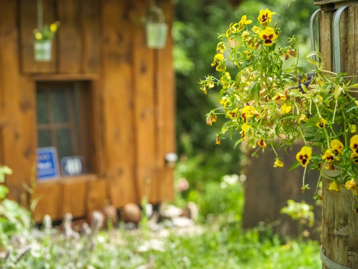 Yeti Cabin Plitvica selo Eksteriør bilde